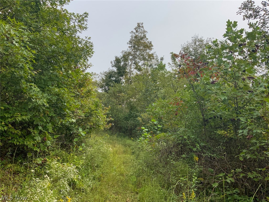 East Hysell Run Road Pomeroy, OH 45769 - Photo 32 of 33 Gallery Image 32