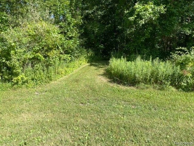 0 Autumn Ridge East Northville, MI 48167 - Photo 1 of 7 Path into wooded acreage