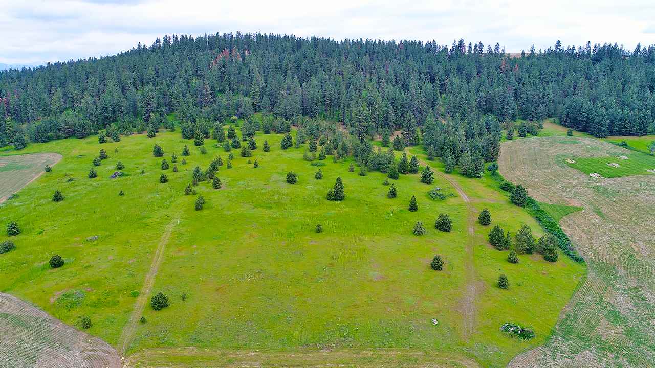 Lot B Big Meadows Road Chattaroy, WA 99003 - Photo 6 of 20