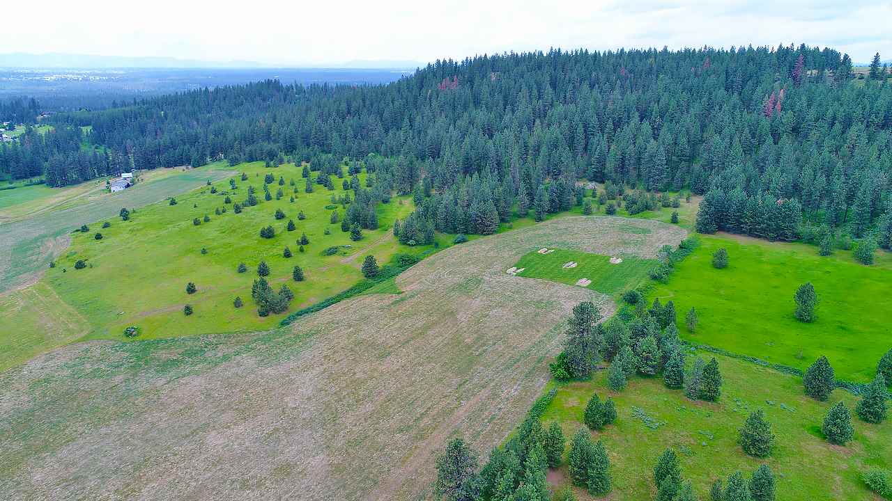 Lot B Big Meadows Road Chattaroy, WA 99003 - Photo 8 of 20
