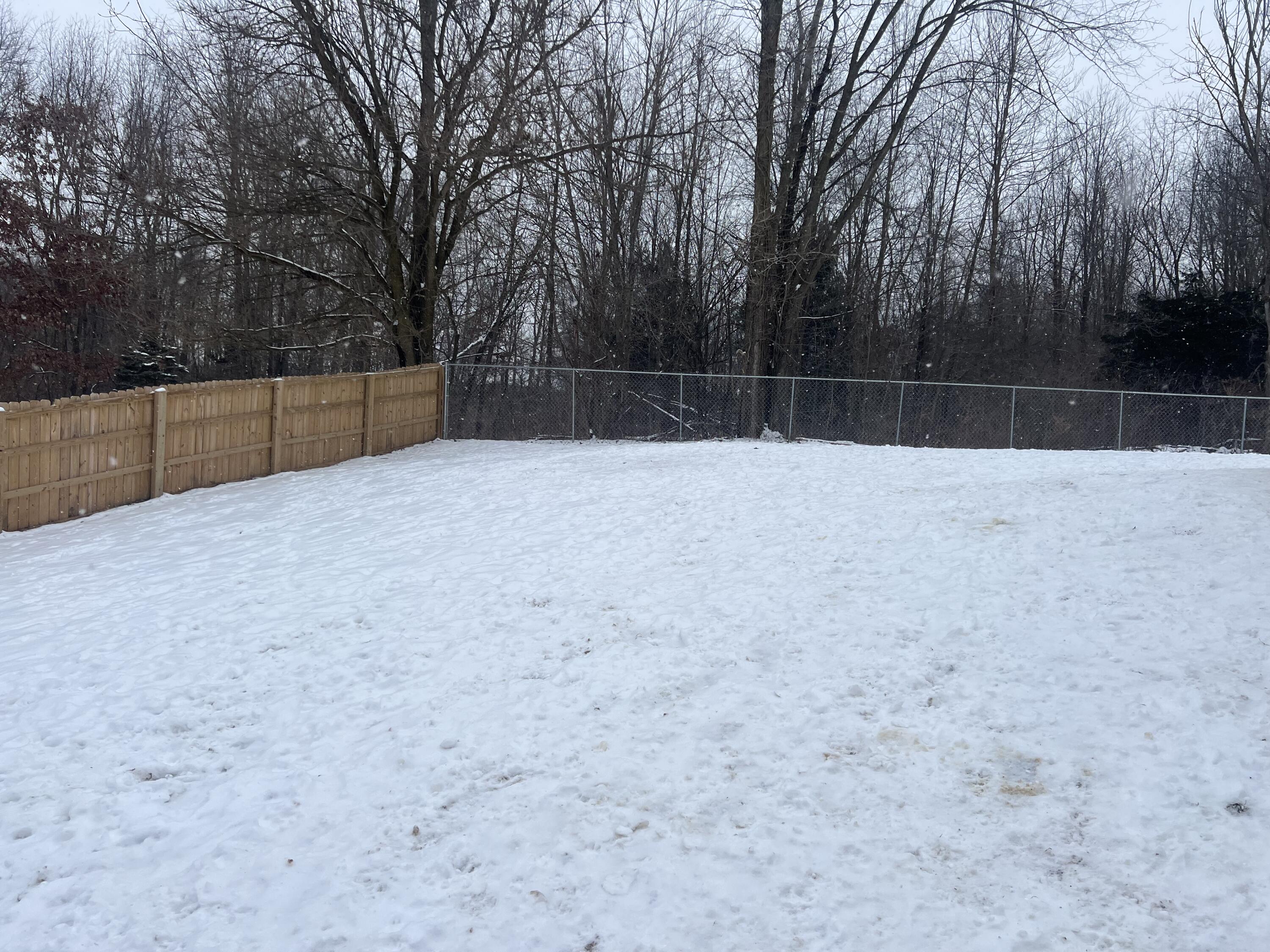1018 East Central Road Quincy, MI 49082 - Photo 2 of 16 IMG_3322