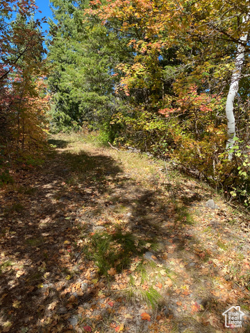 St, Unit 56 Bancroft, ID 83217 - Photo 14 of 17