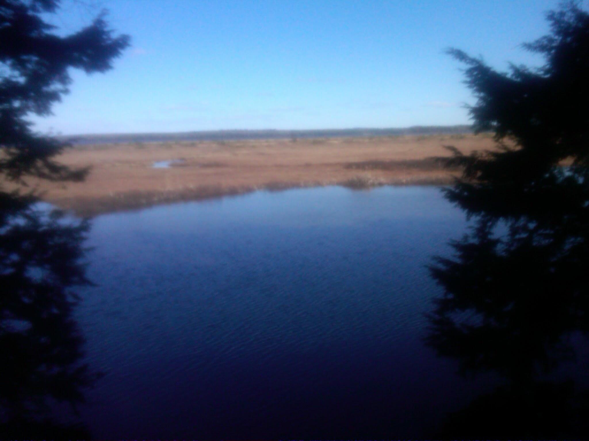 3 Heath Road Mariaville, ME 04605 - Photo 1 of 12 IMG-20120406-00524