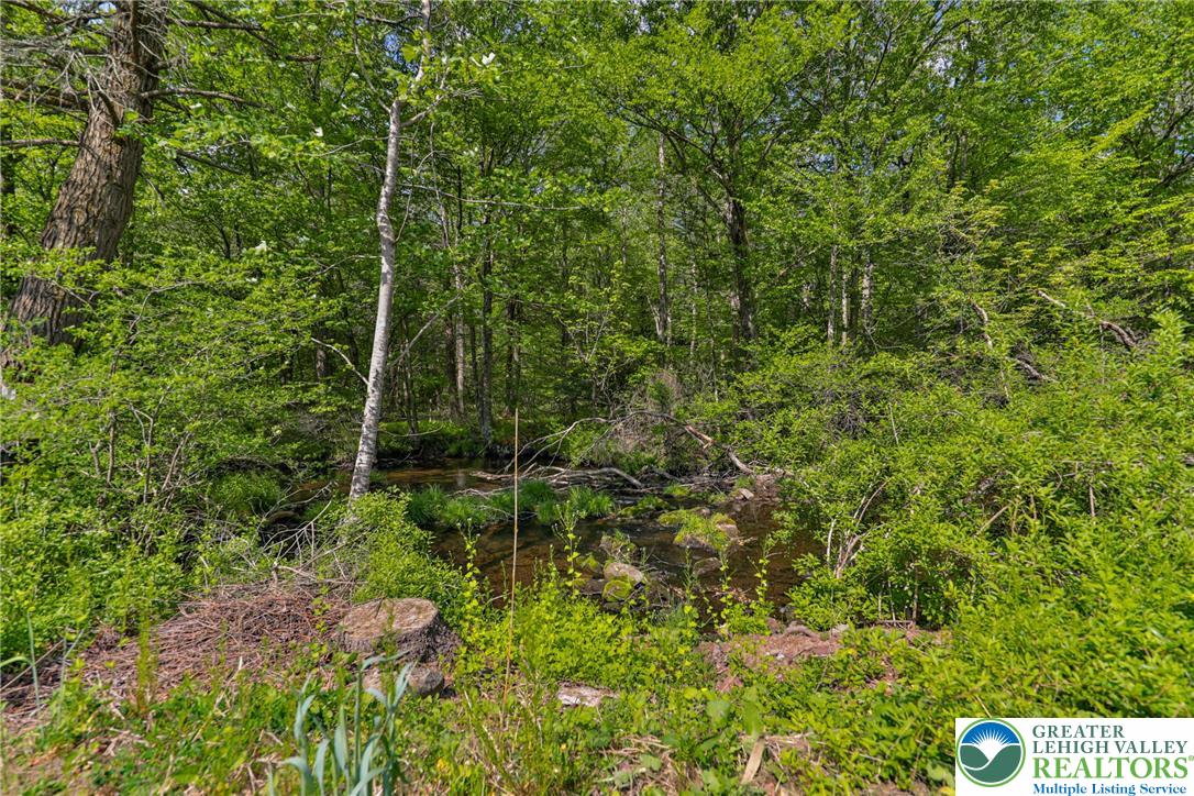 331 Cranberry Creek Road Cresco, PA 18326 - Photo 75 of 95 A tranquil, tree-lined stream flows through a lush, verdant landscape.