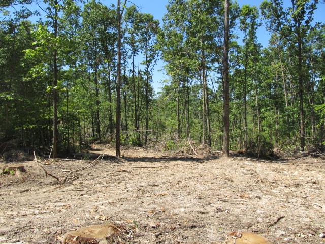 0 North Herman Clark Road Erin, TN 37061 - Photo 1 of 13 Gallery Image 1