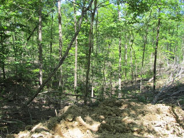 0 North Herman Clark Road Erin, TN 37061 - Photo 4 of 13 Gallery Image 4
