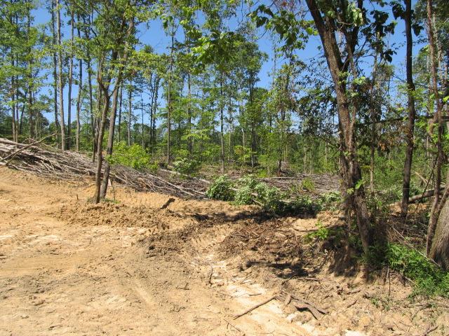0 North Herman Clark Road Erin, TN 37061 - Photo 6 of 13 Gallery Image 6
