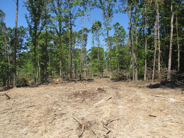 0 North Herman Clark Road Erin, TN 37061 - Photo 9 of 13 Excellent food plot areas