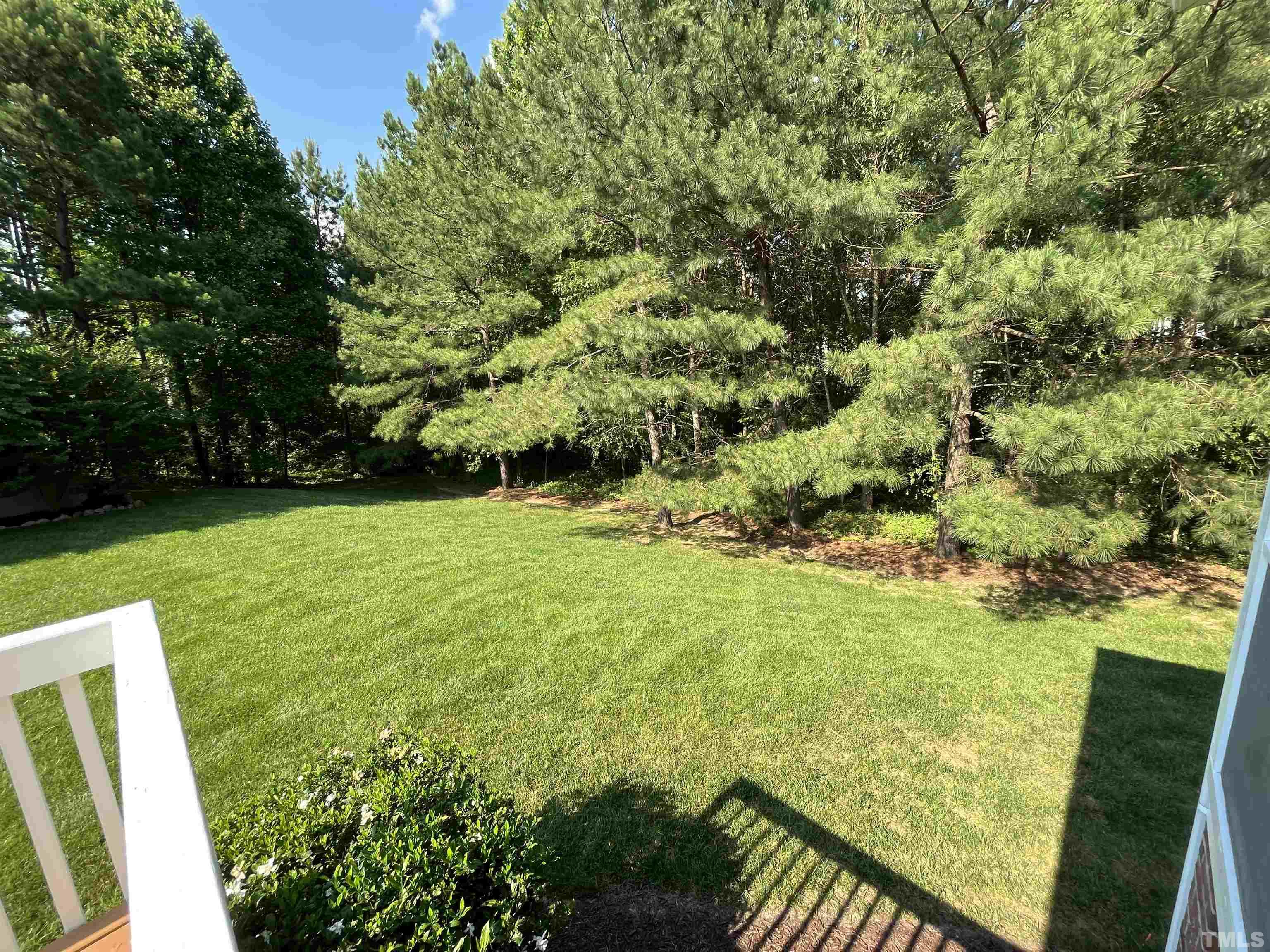 204 Challenge Road Raleigh, NC 27603 - Photo 40 of 42 a view of yard with green space