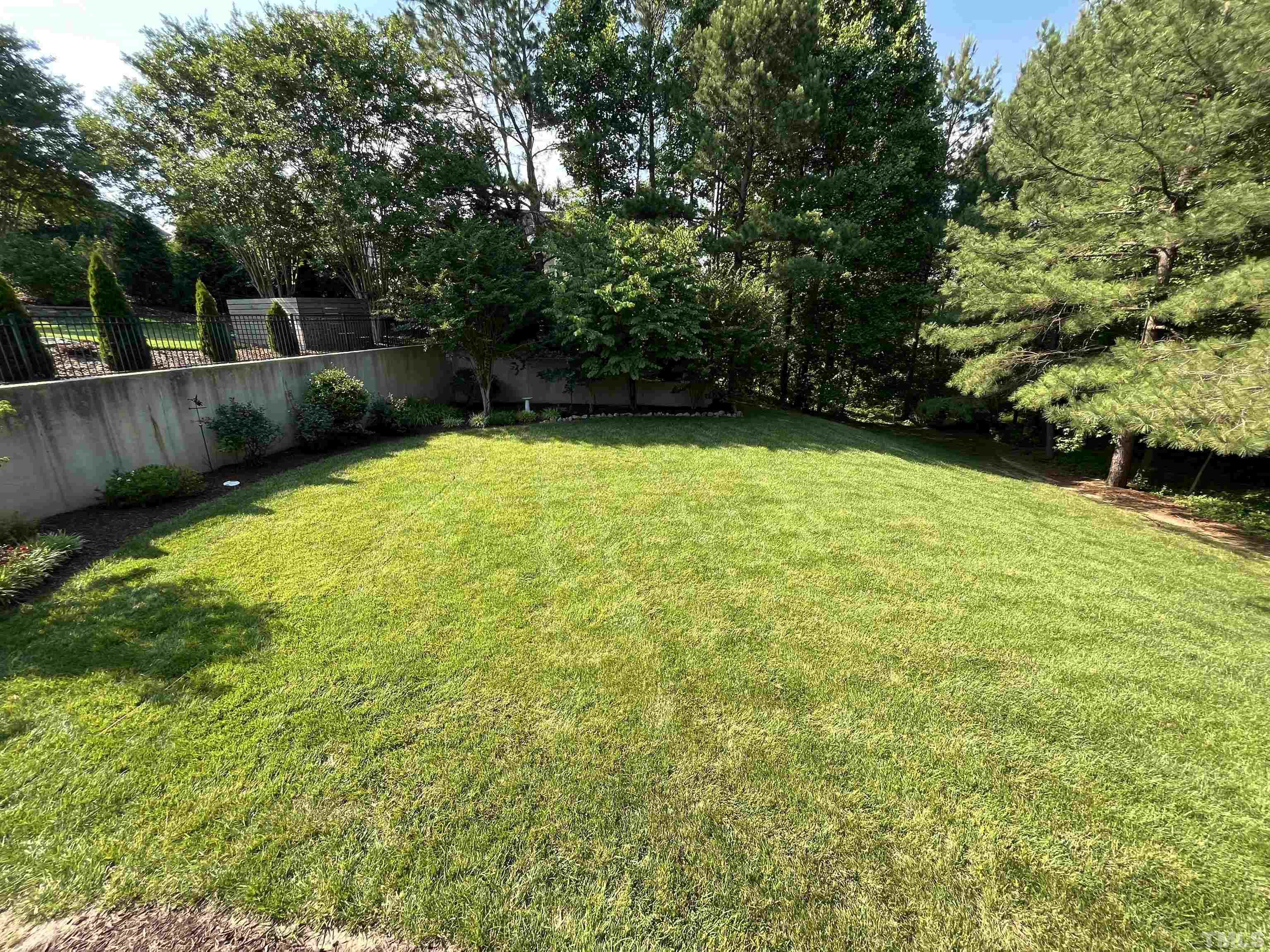 204 Challenge Road Raleigh, NC 27603 - Photo 41 of 42 a view of backyard with green space