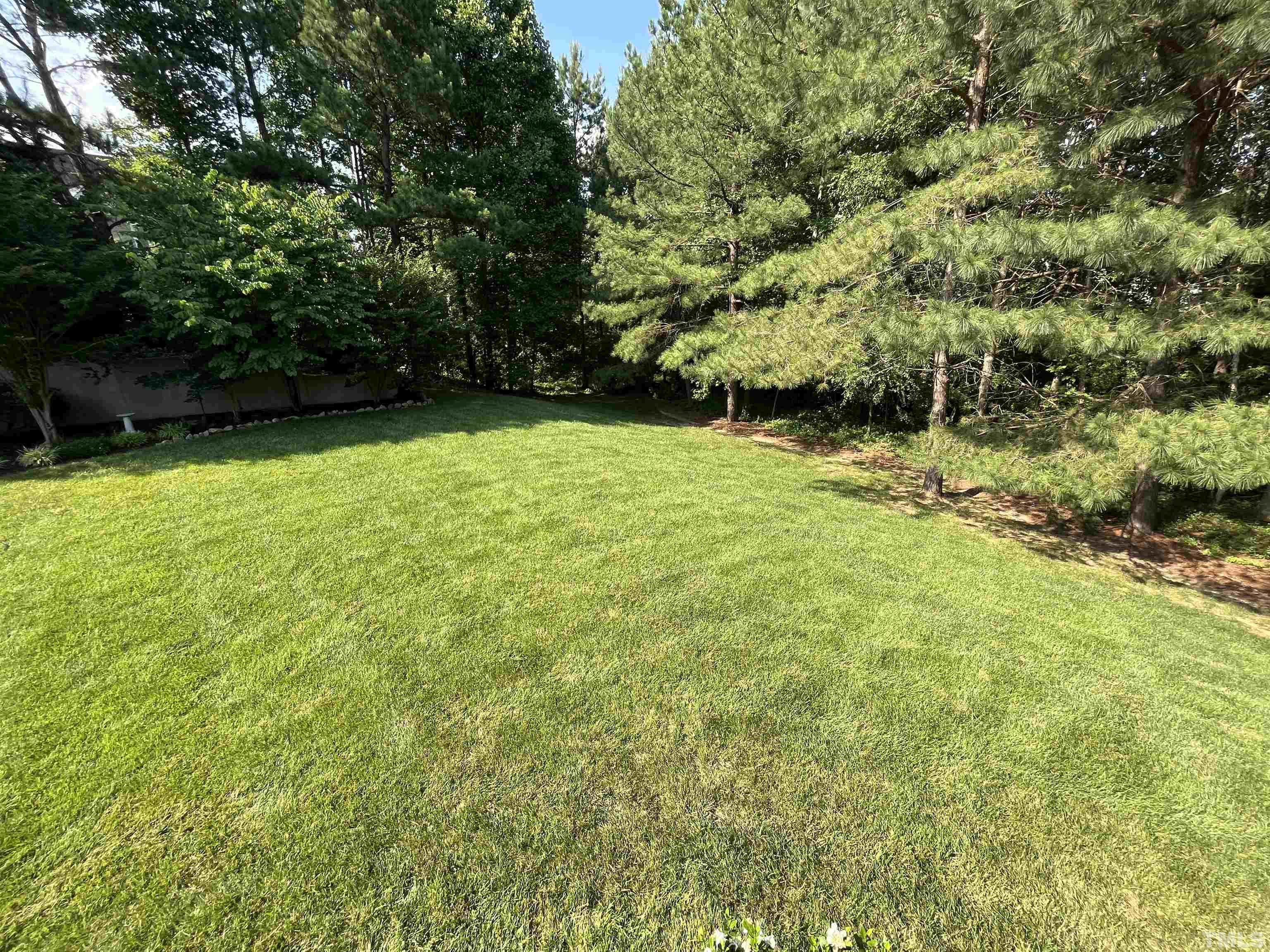 204 Challenge Road Raleigh, NC 27603 - Photo 42 of 42 a view of outdoor space and yard