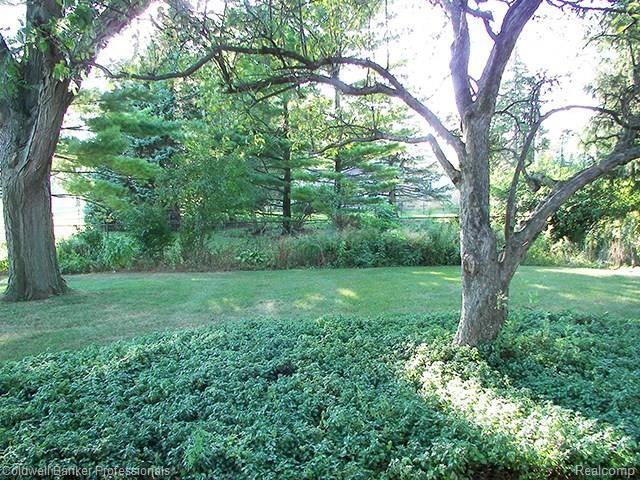 16353 Levan Road Livonia, MI 48154 - Photo 30 of 36 Gardens