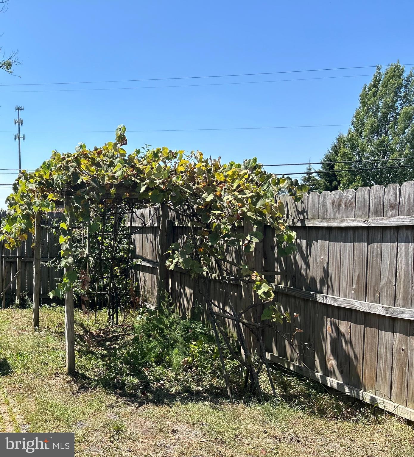 41 Wolfs Bridge Road Carlisle, PA 17013 - Photo 24 of 26 side yard