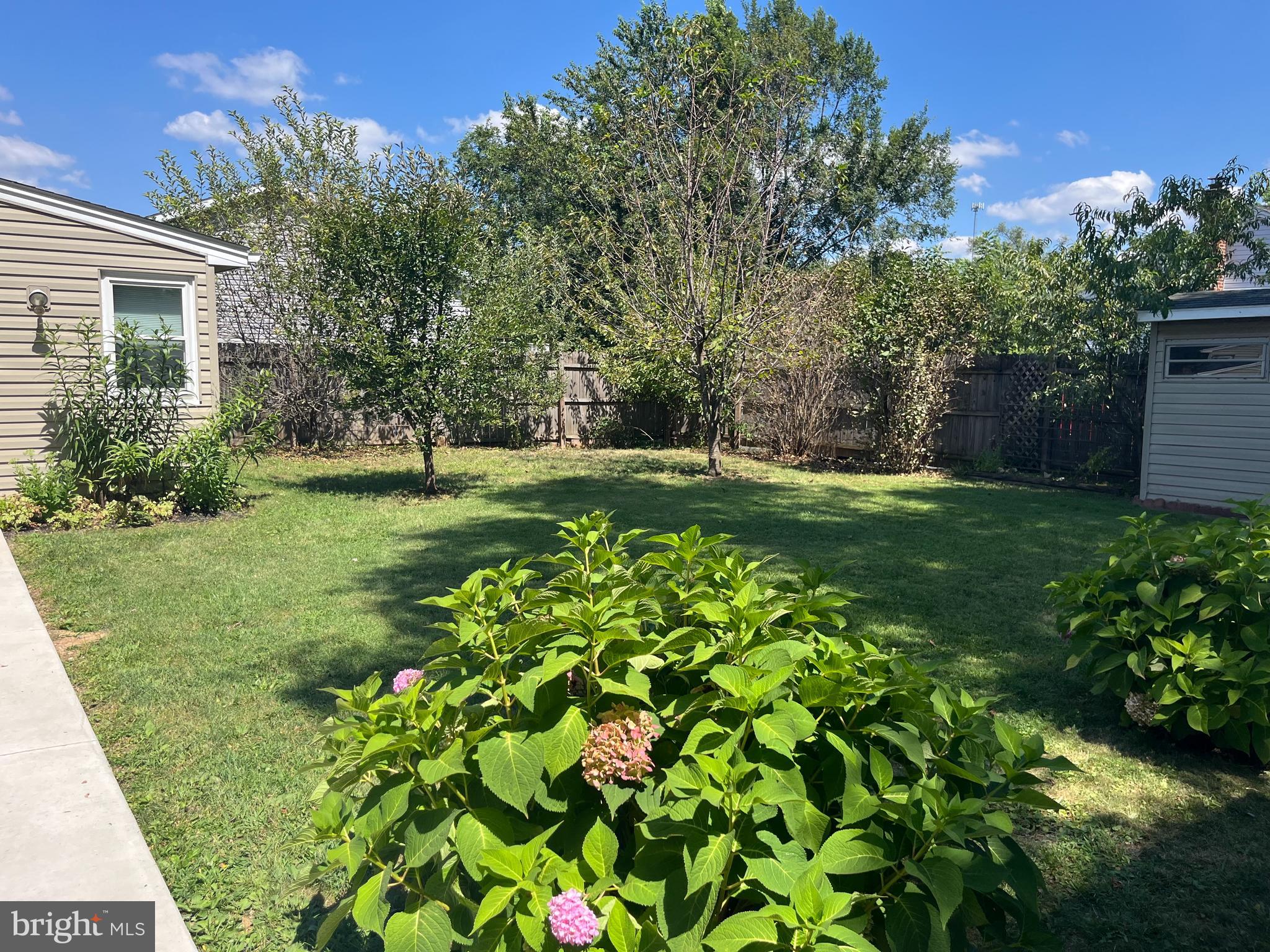 41 Wolfs Bridge Road Carlisle, PA 17013 - Photo 6 of 26 back yard