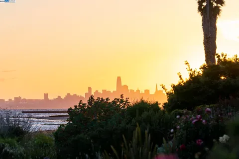 a view of a city with lush green forest