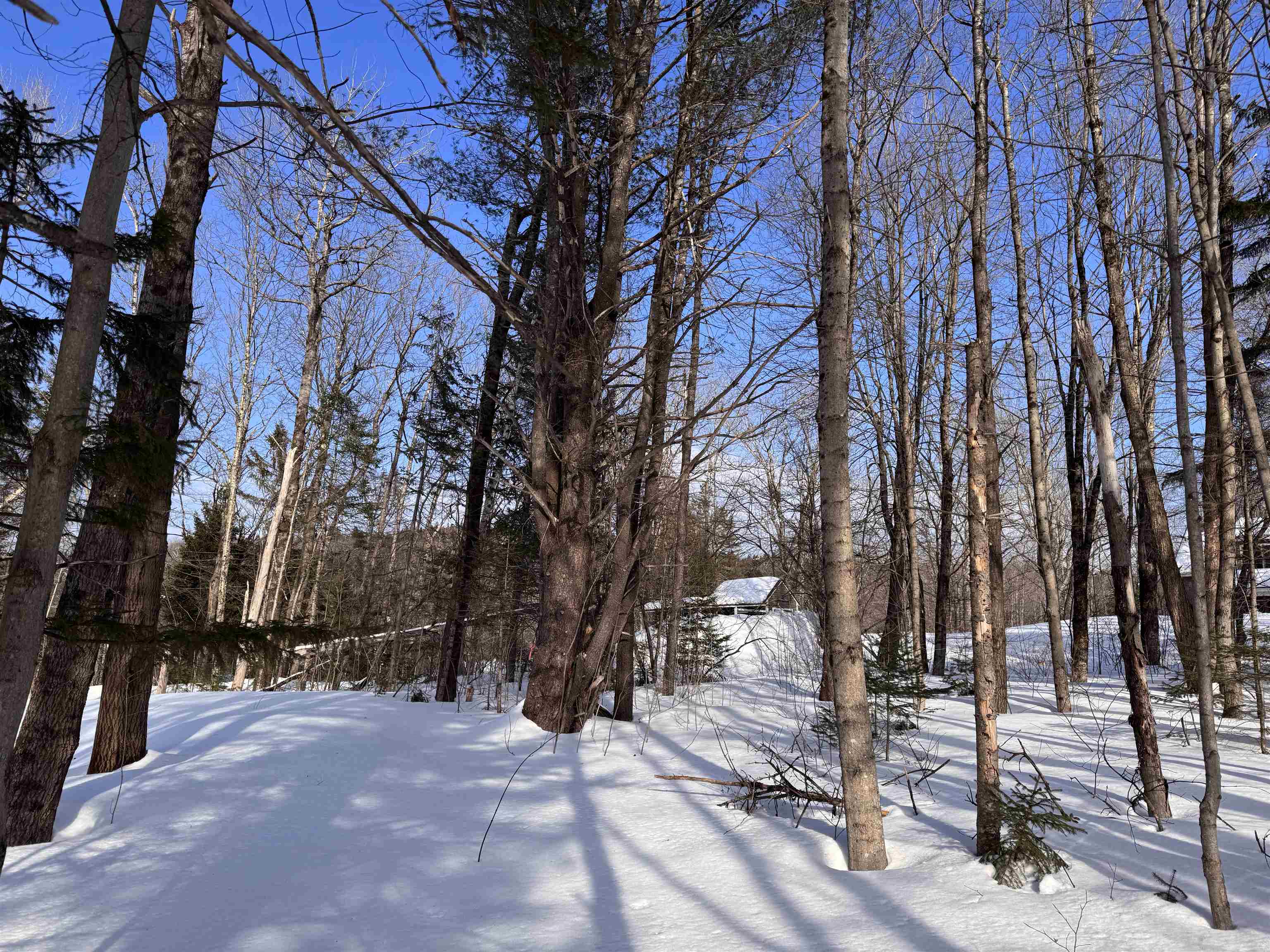 169 Sun And Ski Road Wilmington, VT 05363 - Photo 17 of 32