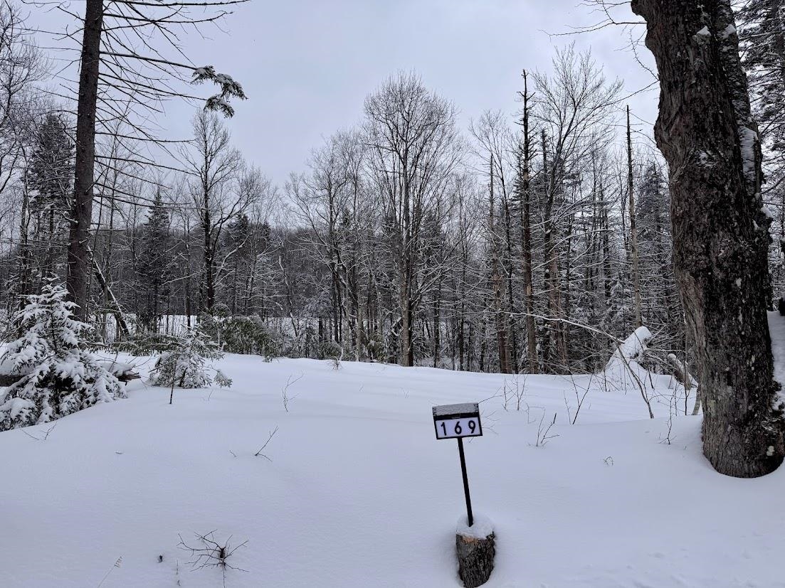 169 Sun And Ski Road Wilmington, VT 05363 - Photo 2 of 32