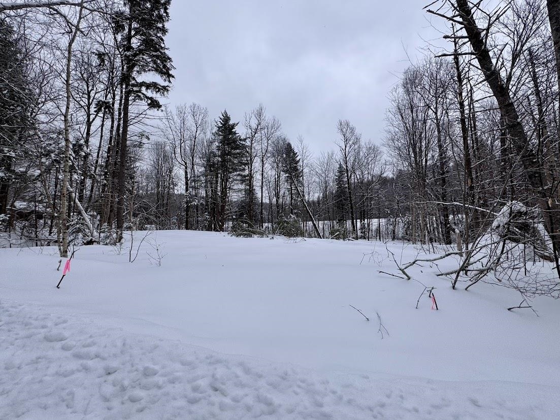 169 Sun And Ski Road Wilmington, VT 05363 - Photo 6 of 32