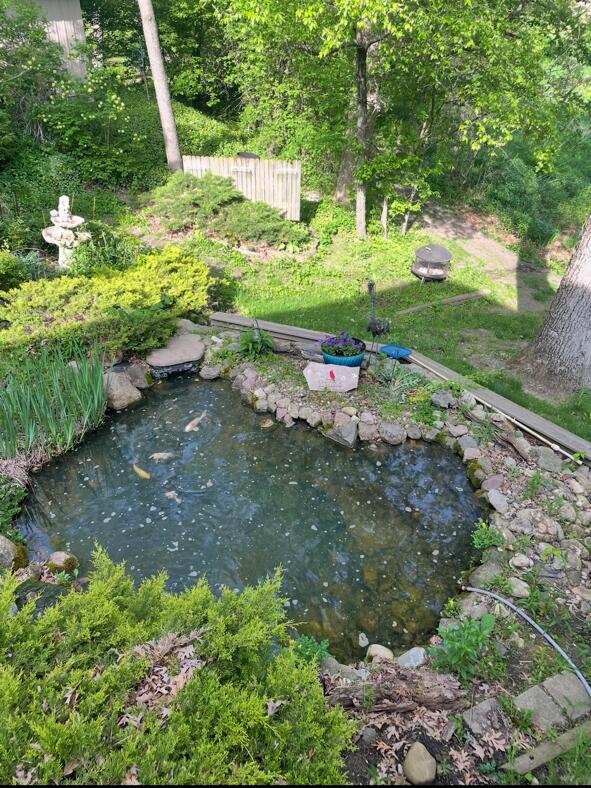 W9007 County Rd C Oakland, WI 53538 - Photo 14 of 40 Pond1