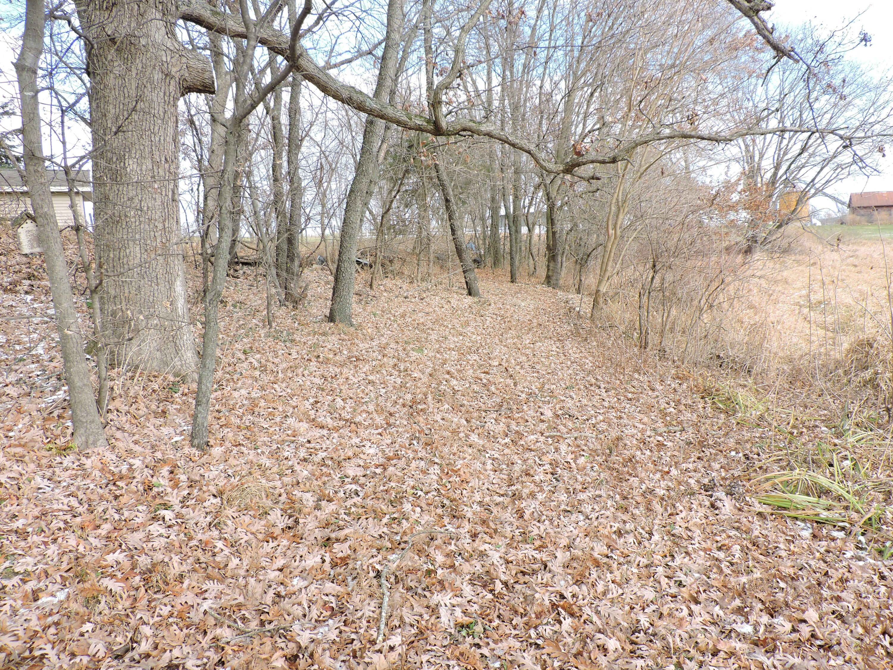 W9007 County Rd C Oakland, WI 53538 - Photo 32 of 40 Trail
