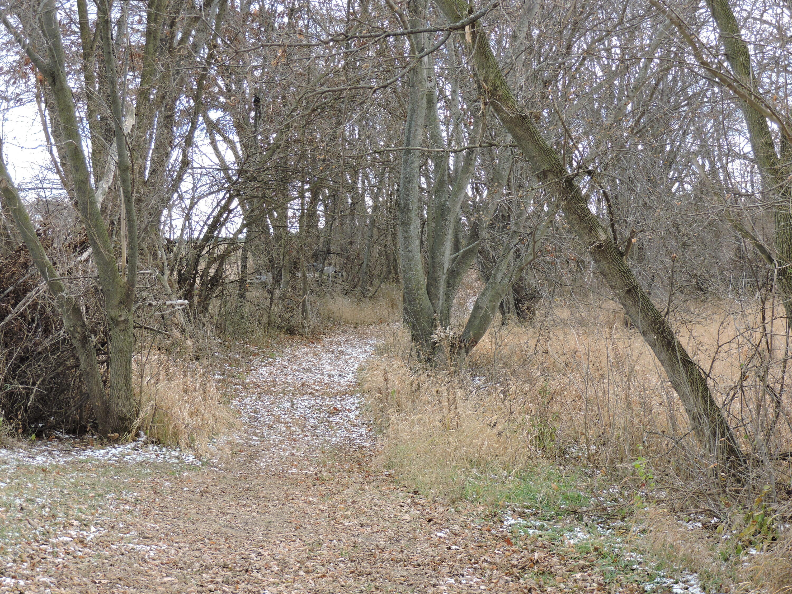 W9007 County Rd C Oakland, WI 53538 - Photo 33 of 40 Trail to woods