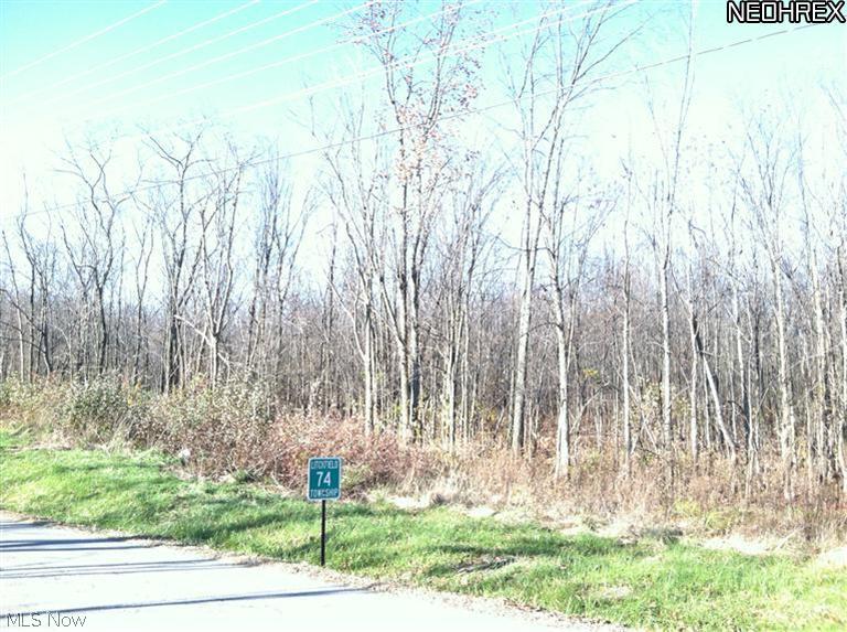 Vandemark Road Litchfield, OH 44253 - Photo 1 of 4 Gallery Image 1