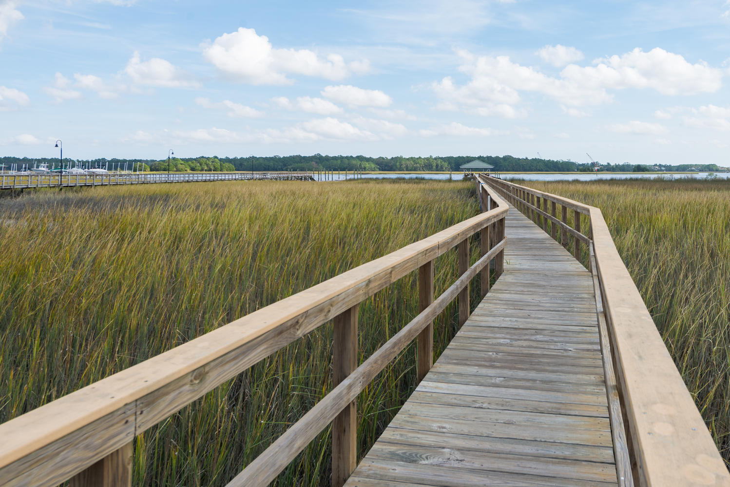 1196 Rivers Reach Drive Charleston, SC 29492 - Photo 56 of 66 The Wando River awaits