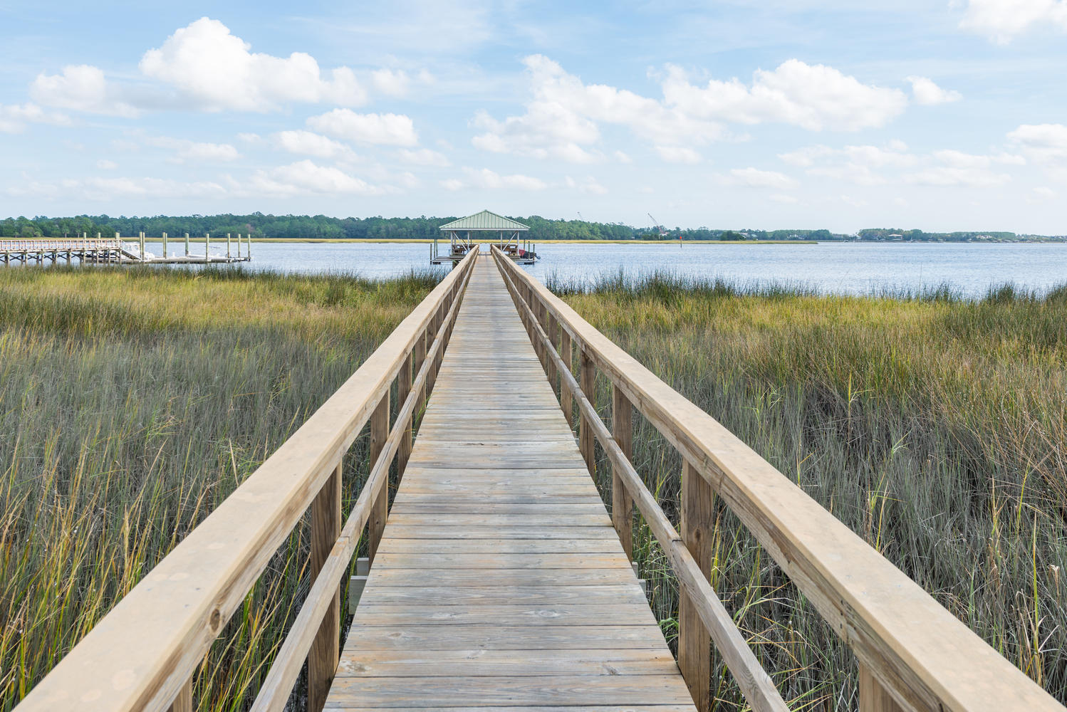 1196 Rivers Reach Drive Charleston, SC 29492 - Photo 57 of 66 River Reach Pointe Community Dock