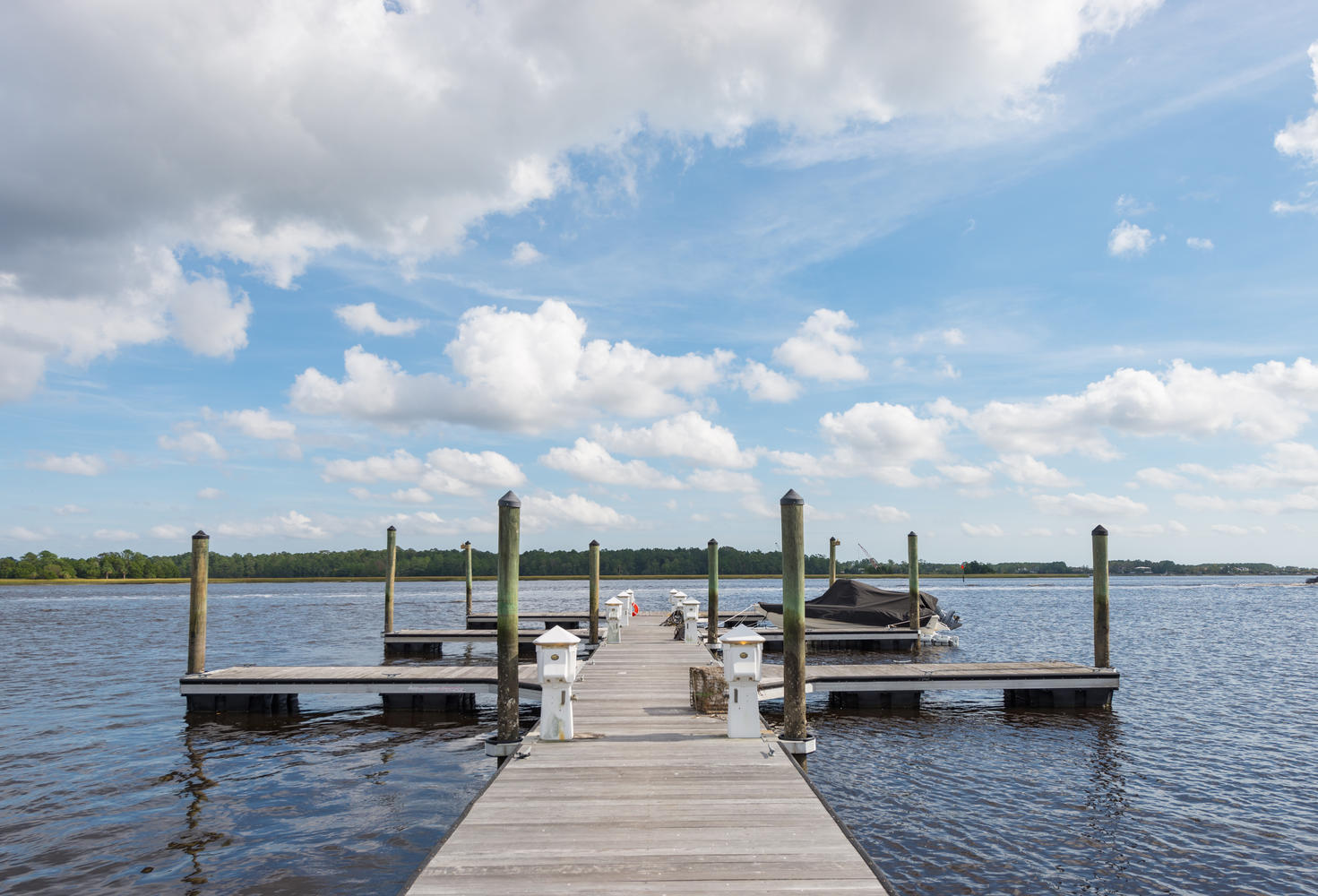 1196 Rivers Reach Drive Charleston, SC 29492 - Photo 60 of 66 Imagine the memories you will make