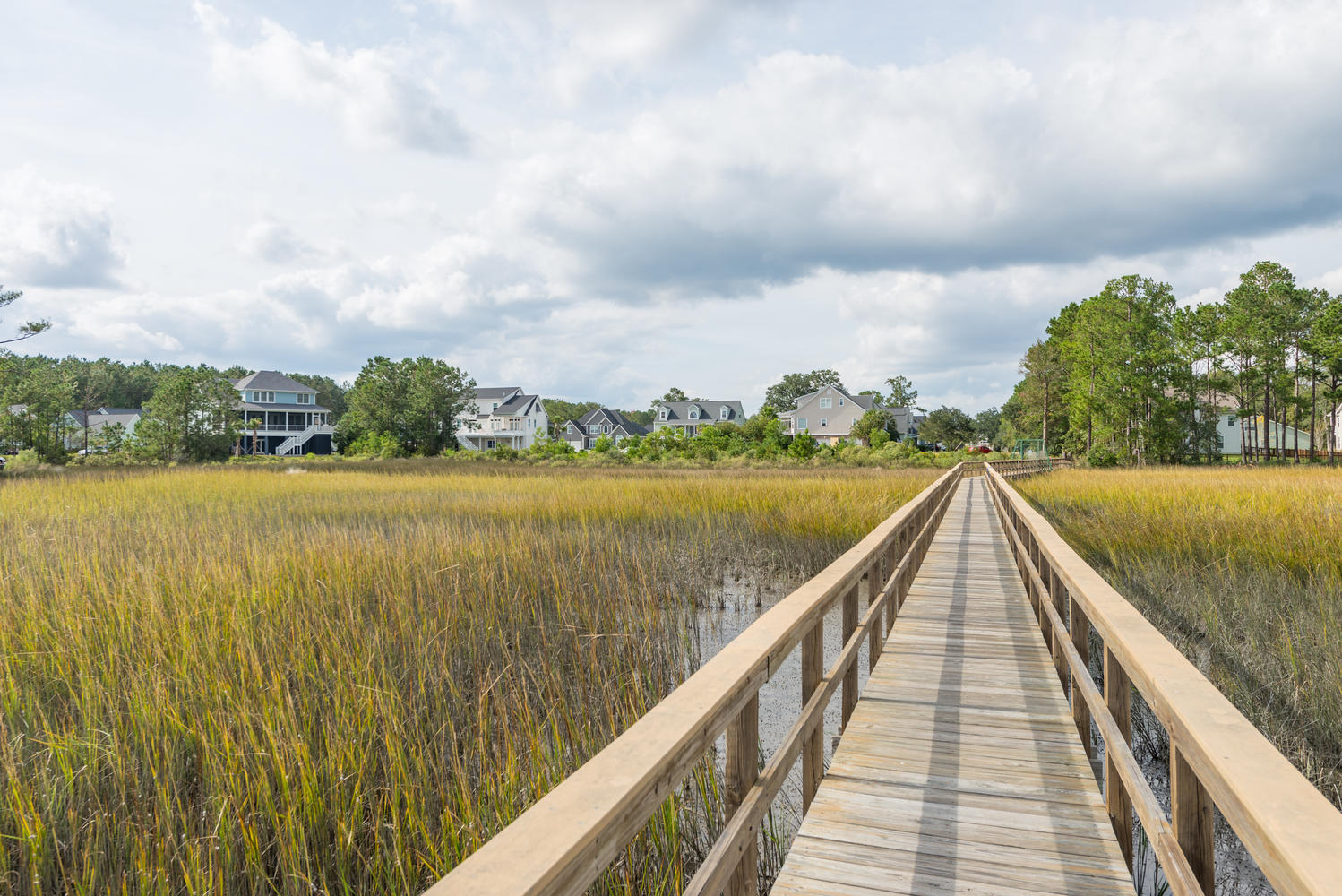 1196 Rivers Reach Drive Charleston, SC 29492 - Photo 61 of 66 Looking back towards River Reach Pointe