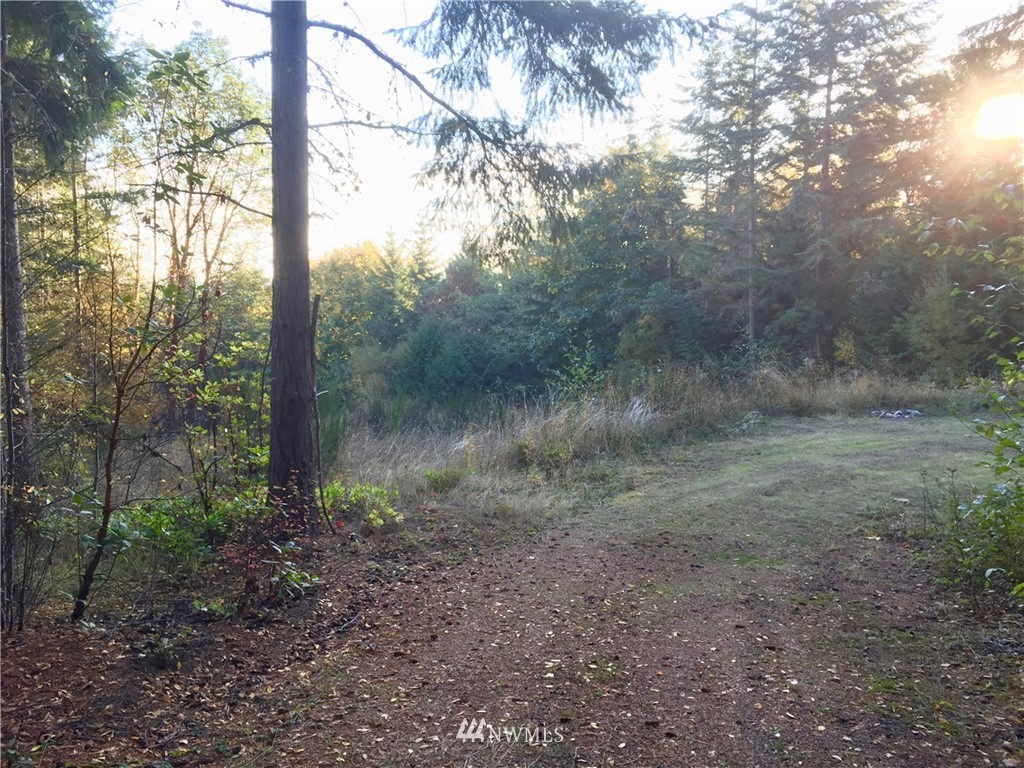 420 Discovery Ridge Road Port Townsend, WA 98368 - Photo 11 of 13 Gallery Image 11