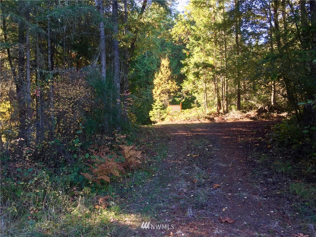 420 Discovery Ridge Road Port Townsend, WA 98368 - Photo 12 of 13 Gallery Image 12