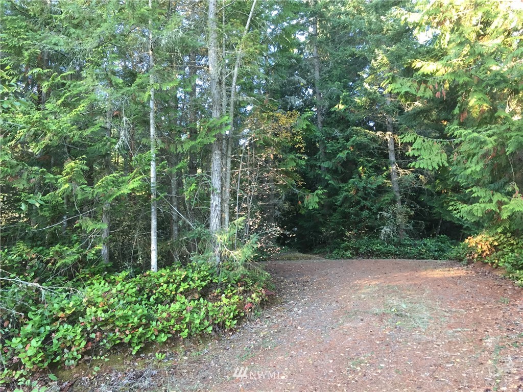 420 Discovery Ridge Road Port Townsend, WA 98368 - Photo 3 of 13 Gallery Image 3