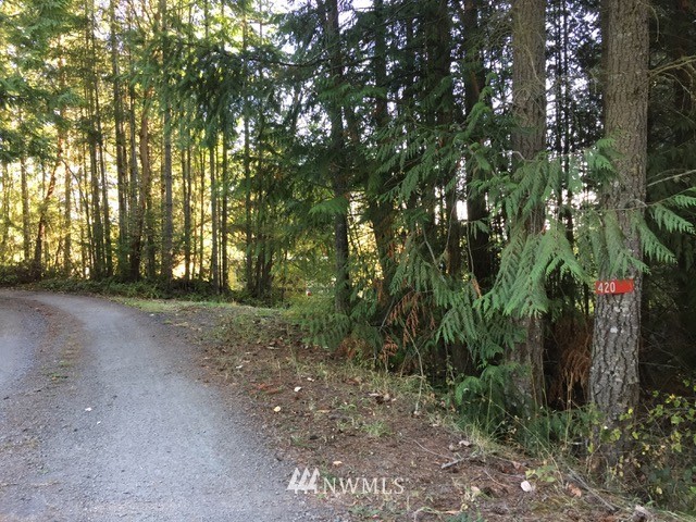420 Discovery Ridge Road Port Townsend, WA 98368 - Photo 4 of 13 Gallery Image 4