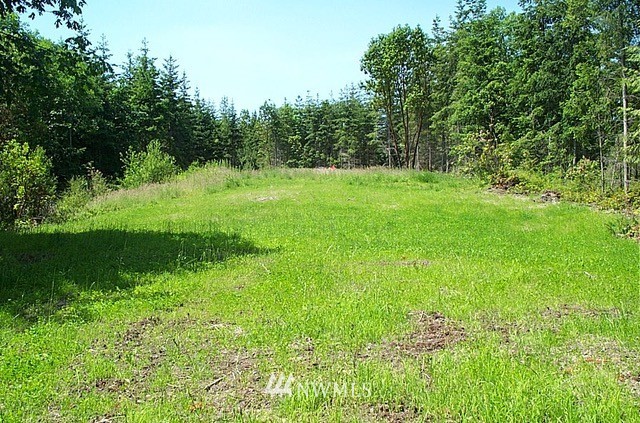 420 Discovery Ridge Road Port Townsend, WA 98368 - Photo 6 of 13 Gallery Image 6
