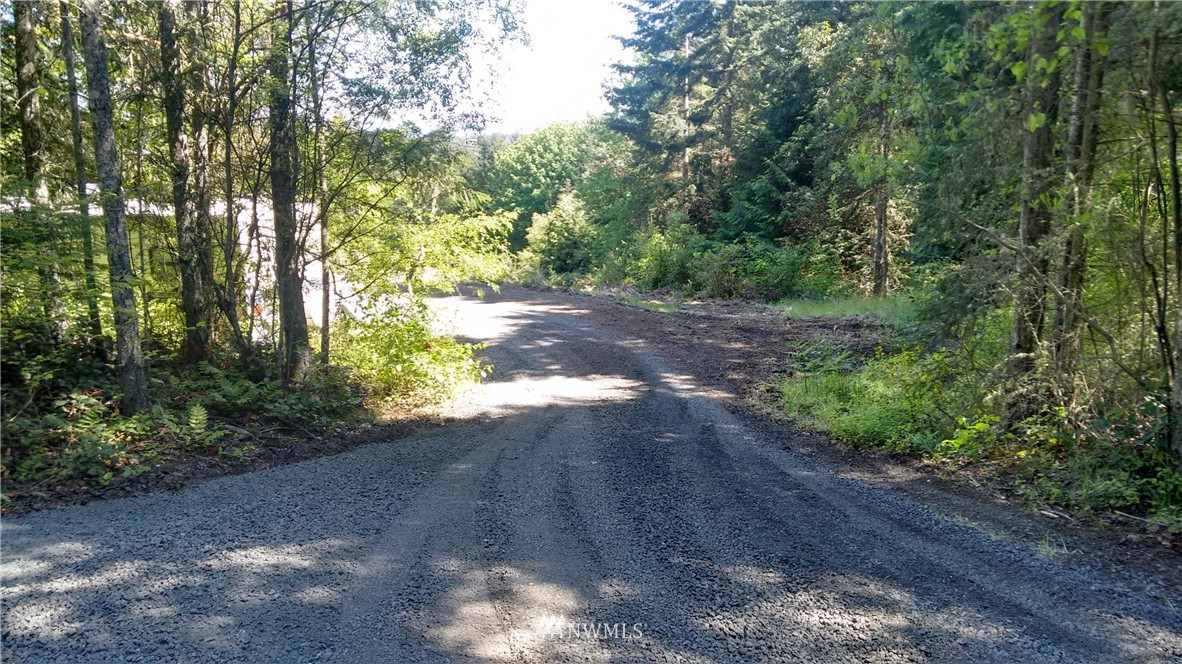 420 Discovery Ridge Road Port Townsend, WA 98368 - Photo 10 of 13 Gallery Image 10