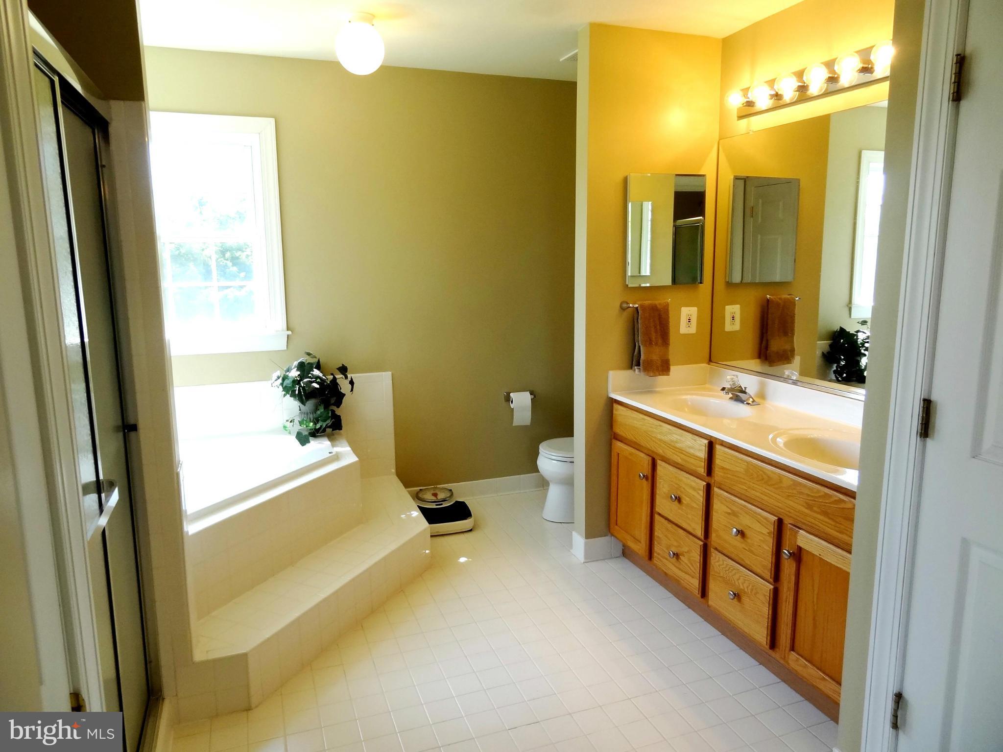 708 Hillmeade Road Edgewater, MD 21037 - Photo 11 of 23 a spacious bathroom with a tub sink and mirror