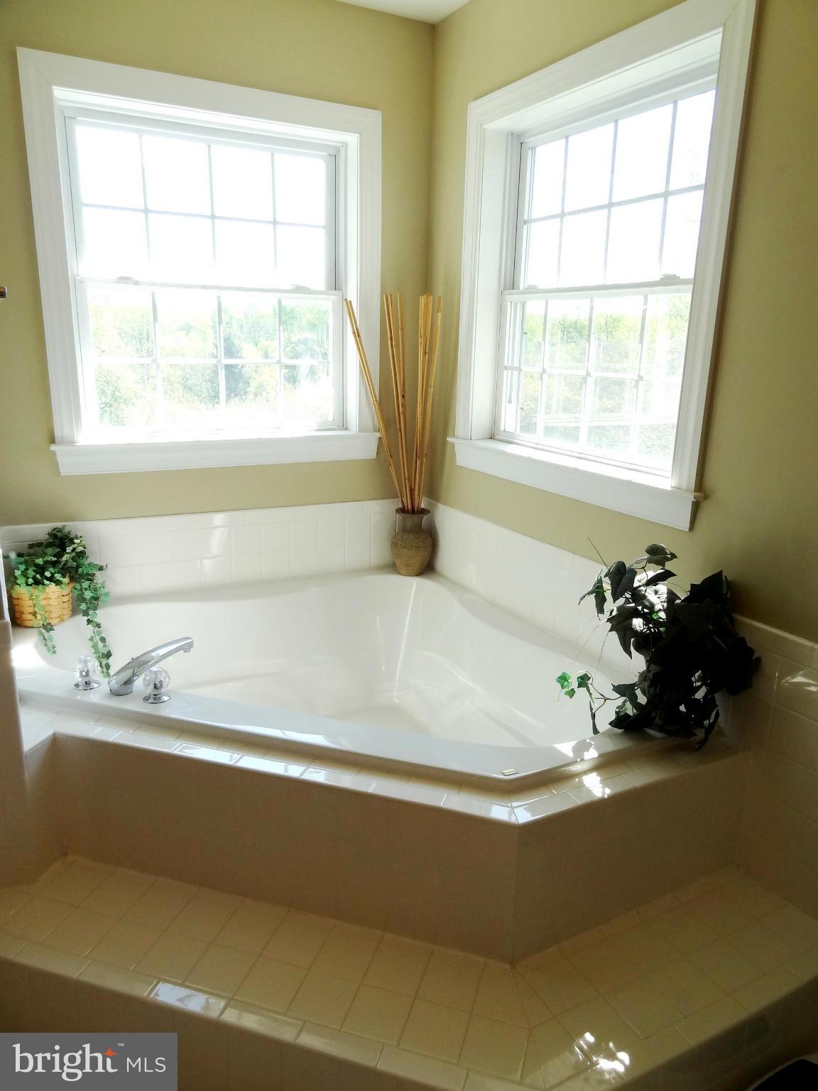 708 Hillmeade Road Edgewater, MD 21037 - Photo 12 of 23 a bath tub sitting next to a window