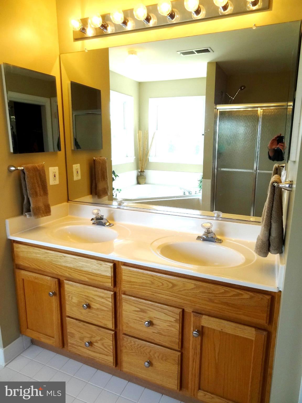 708 Hillmeade Road Edgewater, MD 21037 - Photo 13 of 23 a bathroom with a sink and a mirror