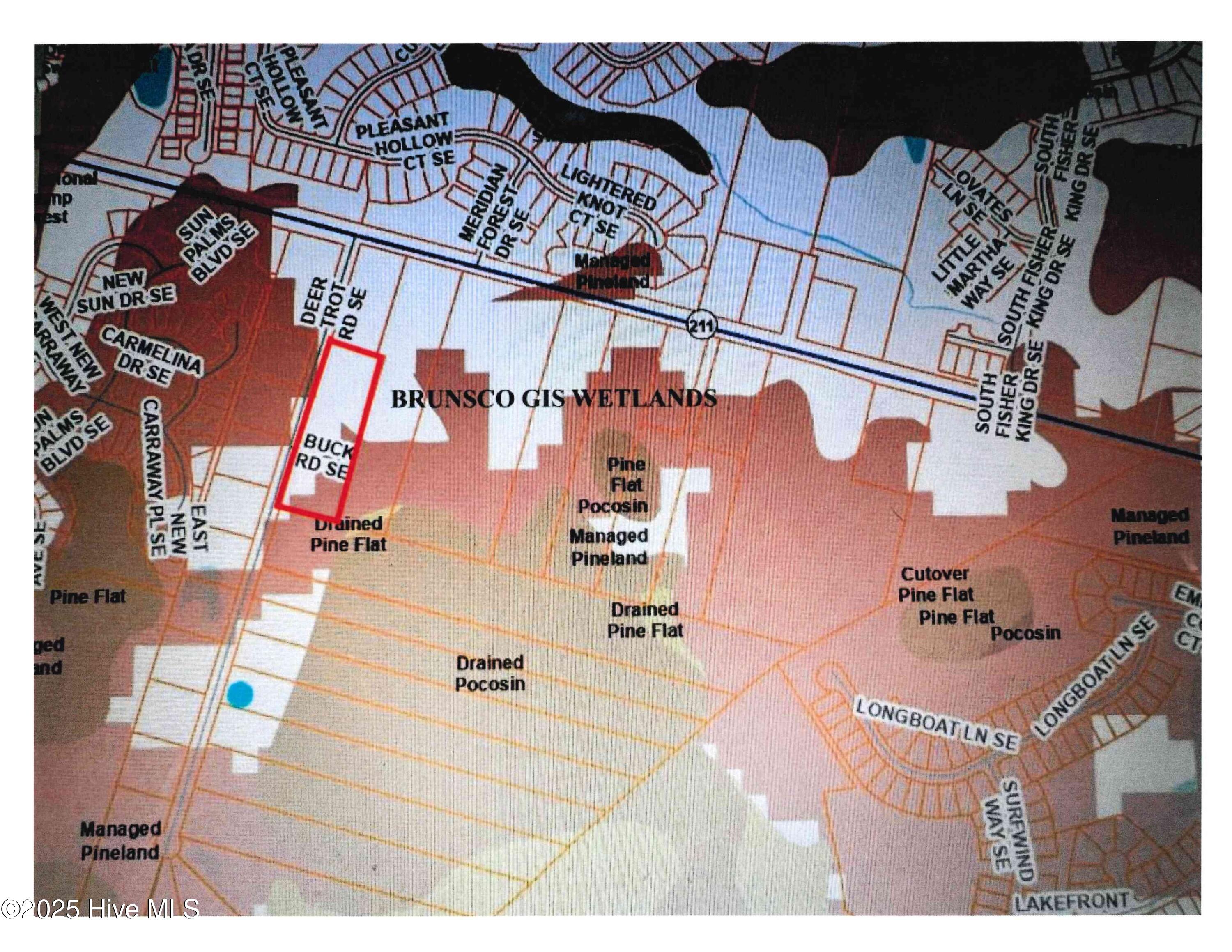 31-33 Deer Trot Road Bolivia, NC 28422 - Photo 2 of 3 Deer Trot Rd GIS Wetlands