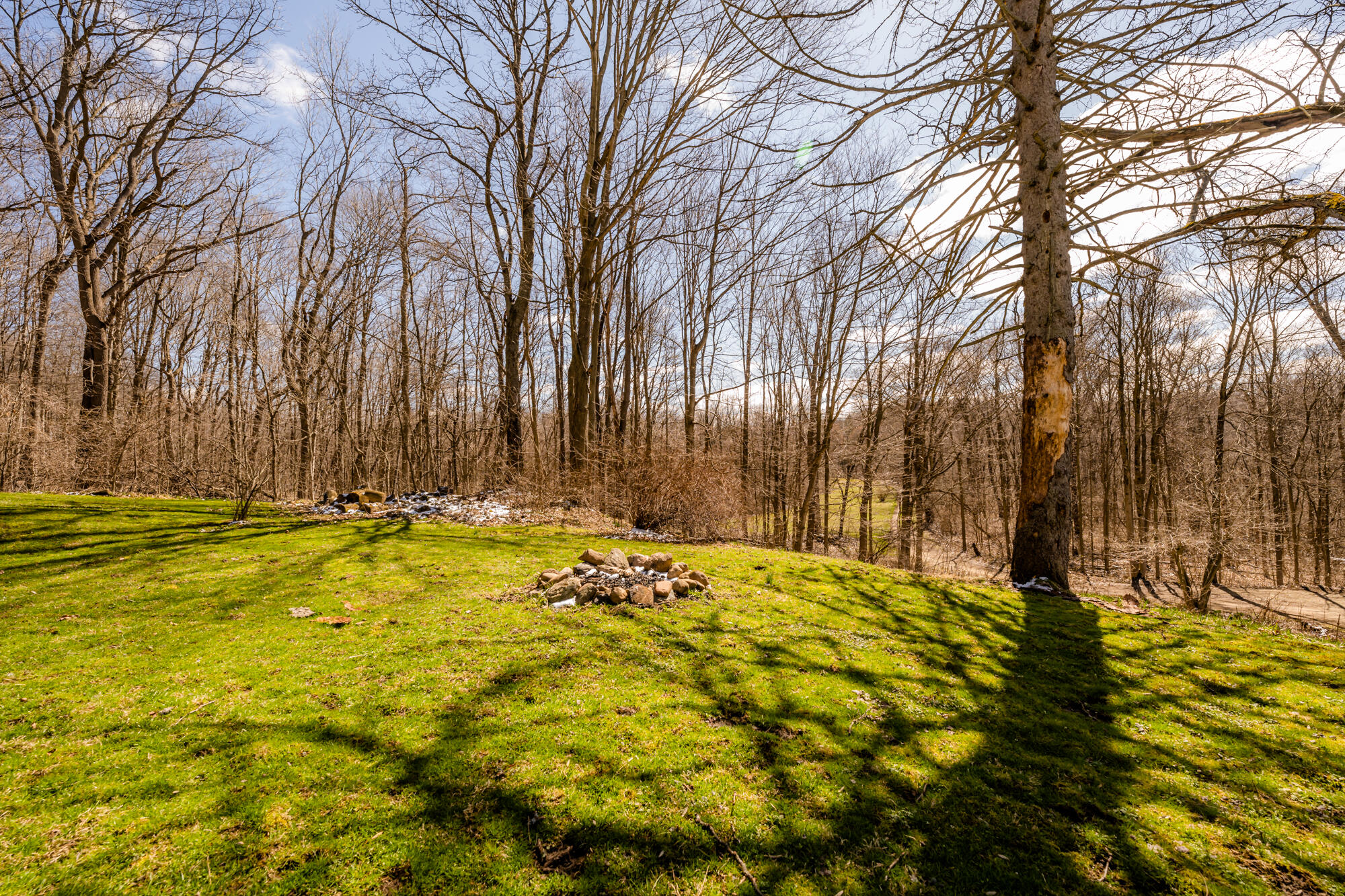 3221 East Snow Road Berrien Springs, MI 49103 - Photo 26 of 32 Wooded Privacy!
