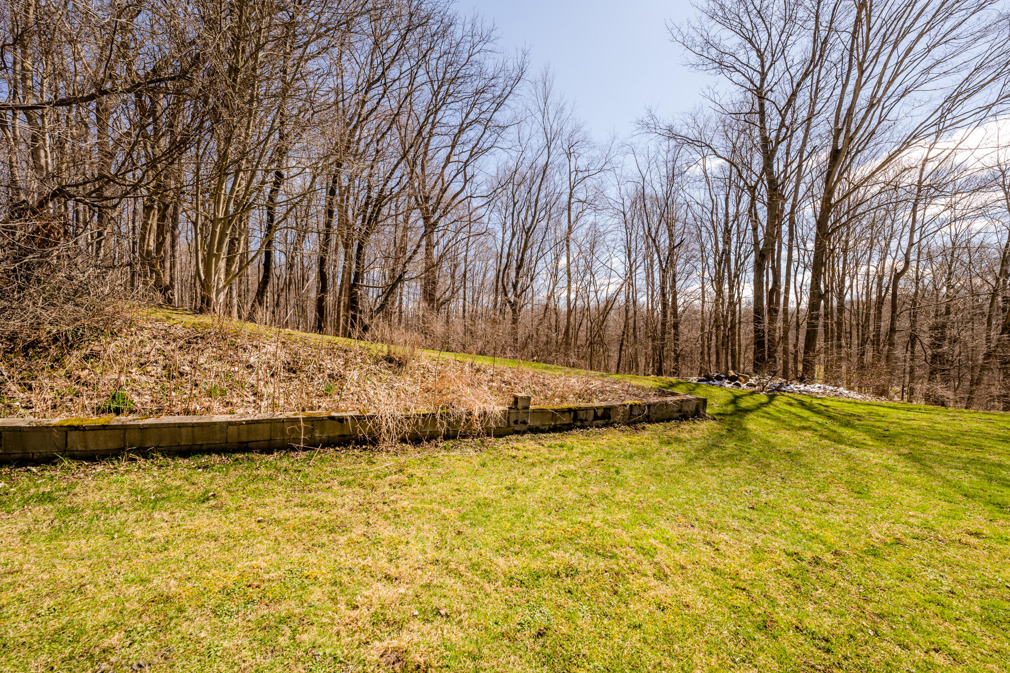 3221 East Snow Road Berrien Springs, MI 49103 - Photo 27 of 32 Wooded Privacy
