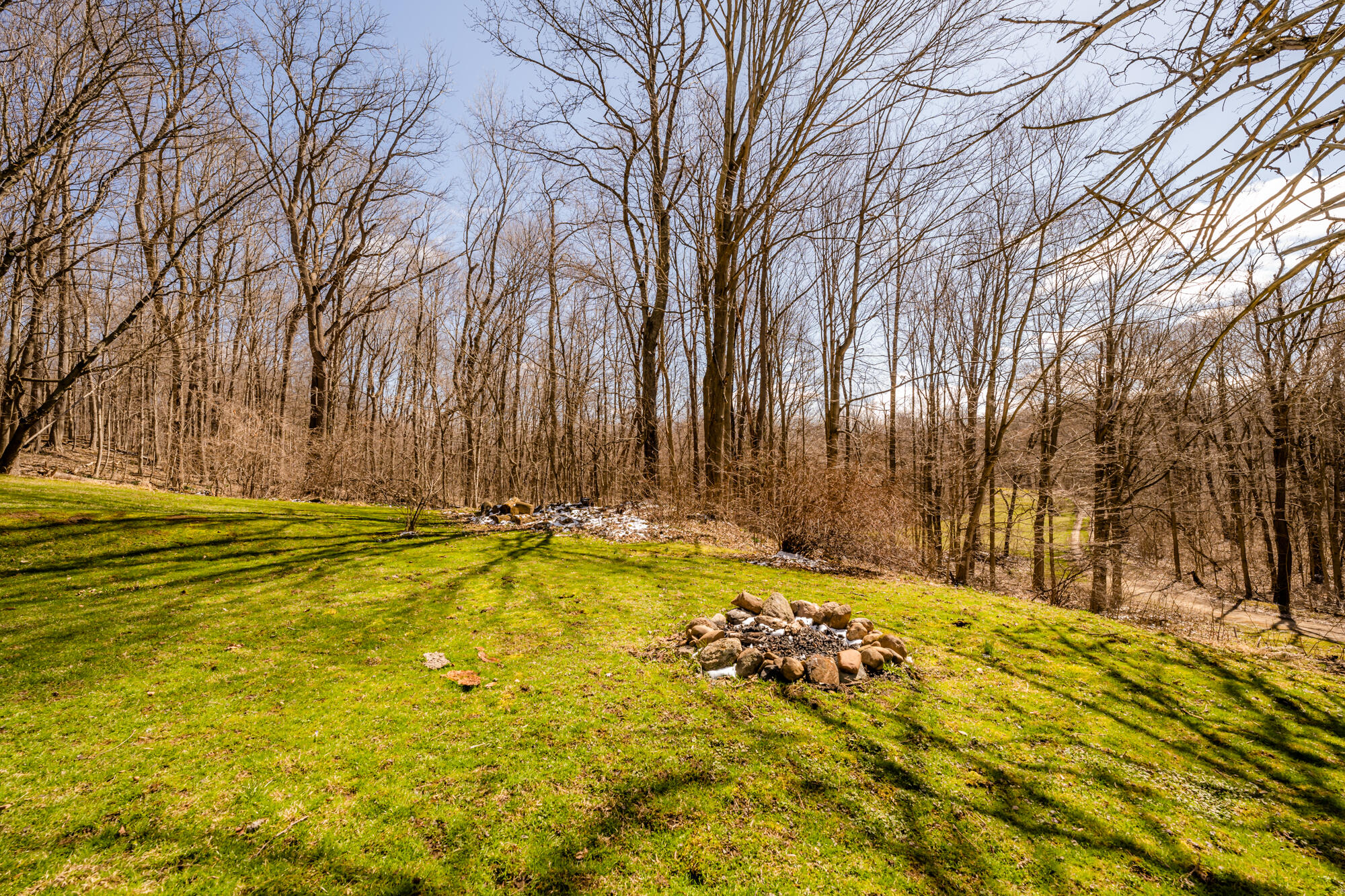3221 East Snow Road Berrien Springs, MI 49103 - Photo 28 of 32 Wooded Privacy