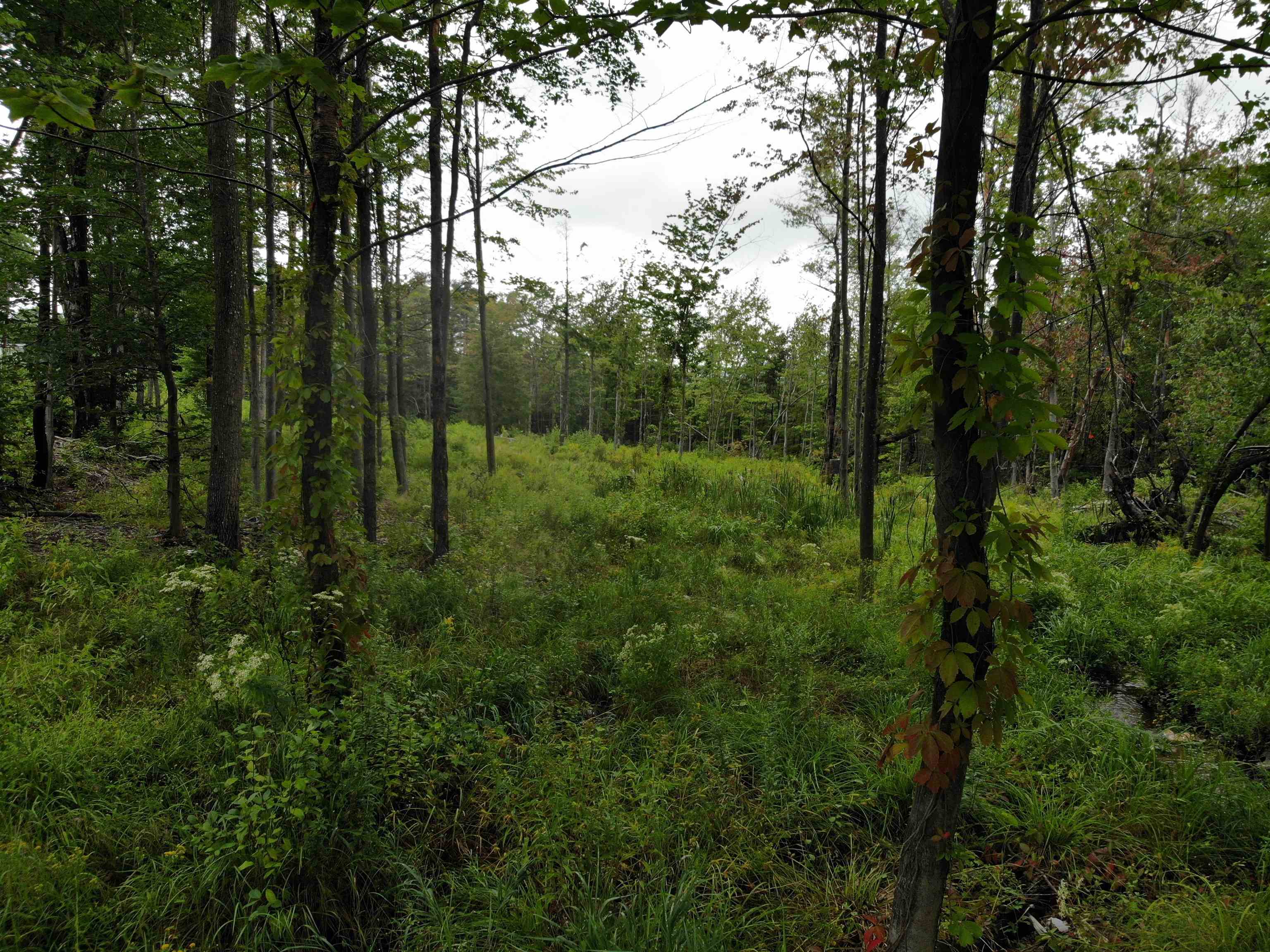 0 Turnpike Road New Ipswich, NH 03071 - Photo 11 of 12