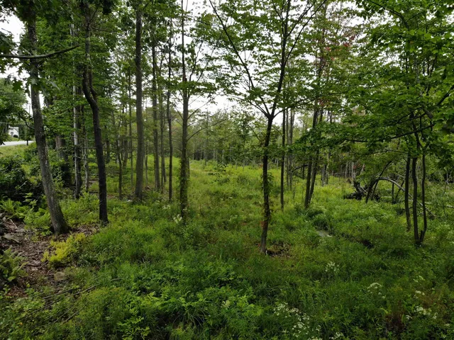 $325,000 | 0 Turnpike Road, New Ipswich, NH 03071