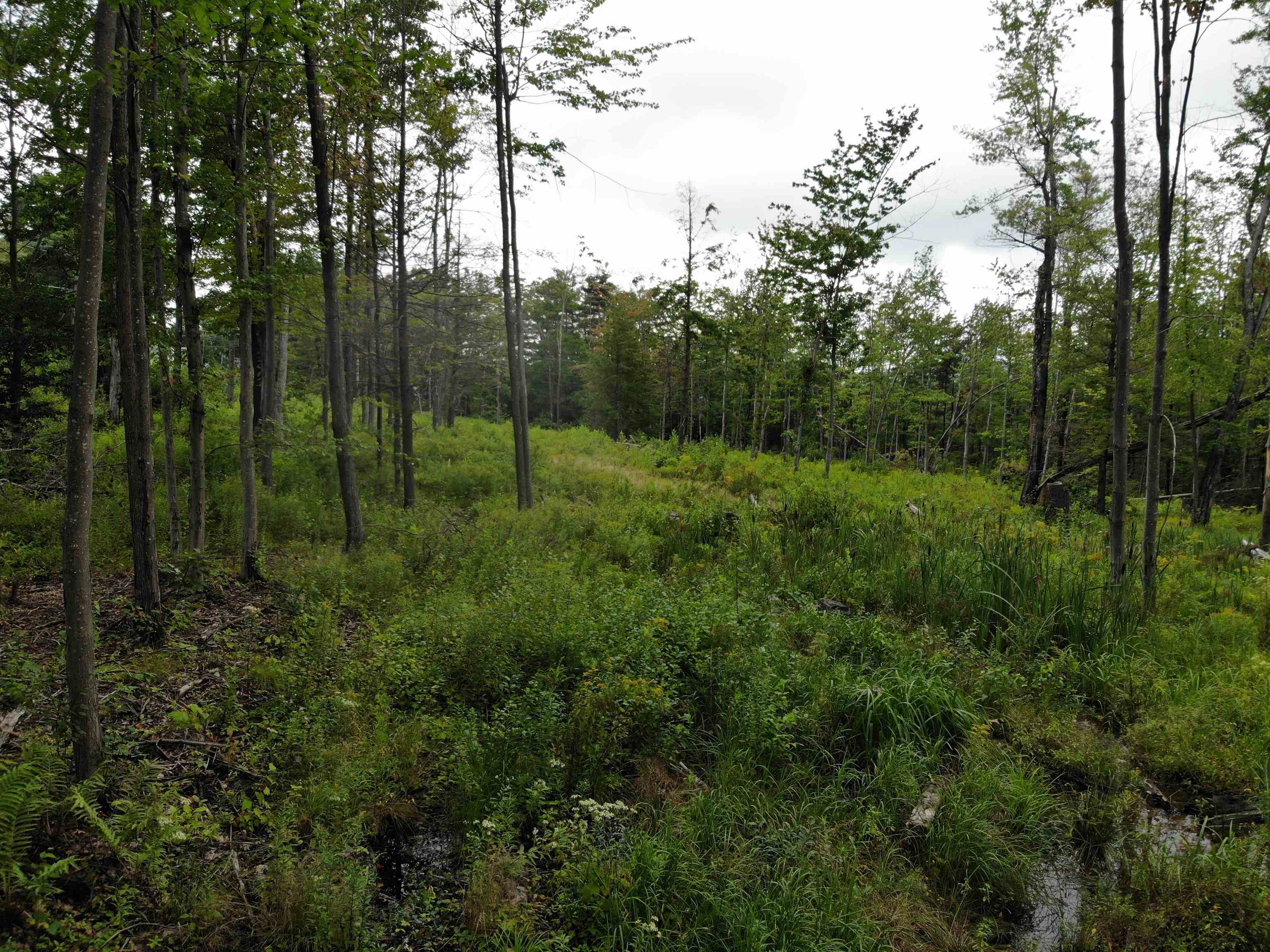 0 Turnpike Road New Ipswich, NH 03071 - Photo 4 of 12