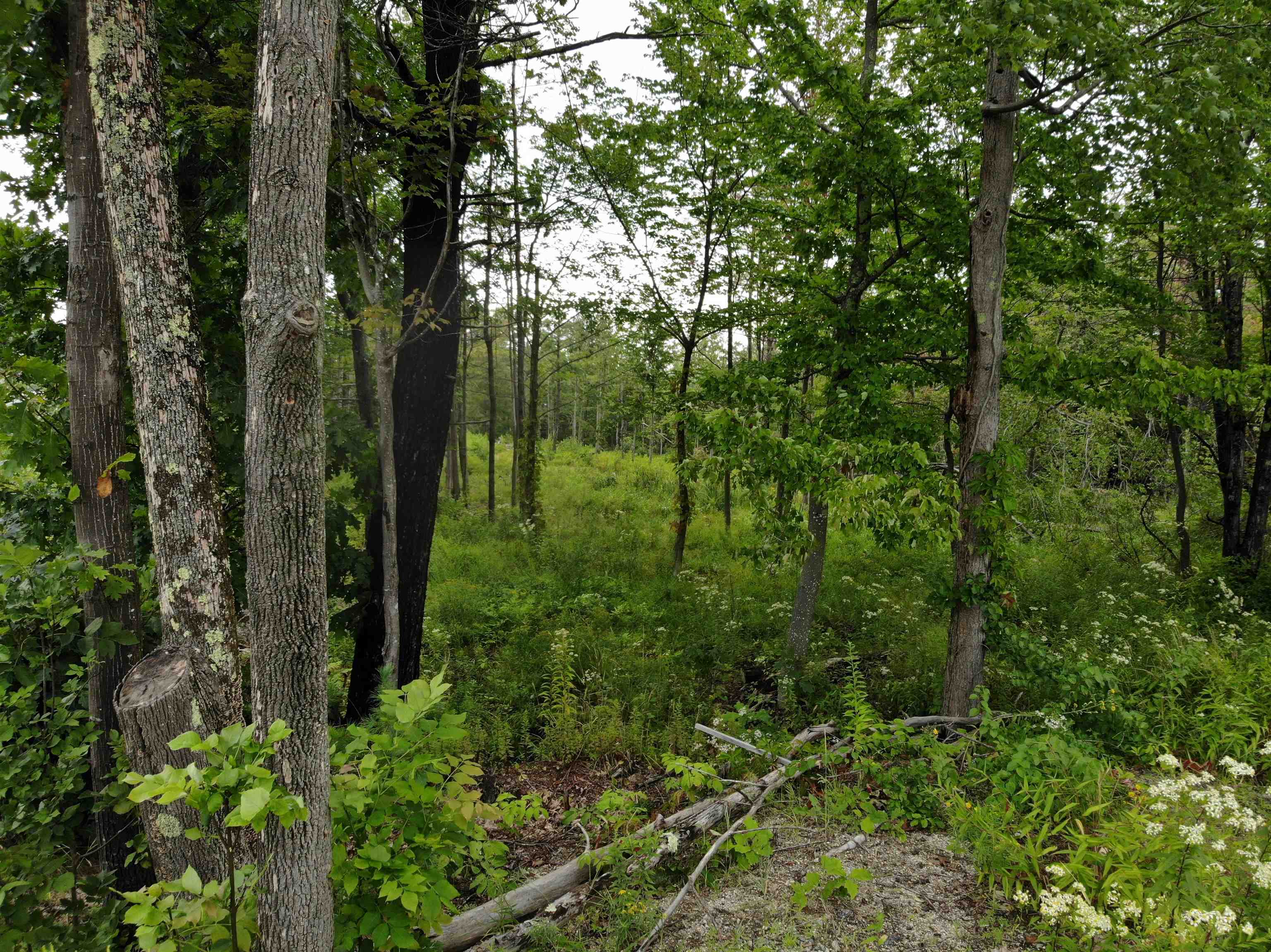0 Turnpike Road New Ipswich, NH 03071 - Photo 10 of 12