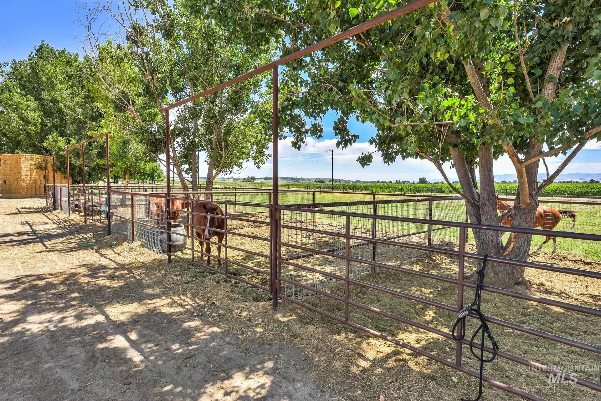 27114 Lower Pleasant Ridge Road Wilder, ID 83676 - Photo 31 of 50 View of yard with a rural view, an exterior structure, and an outdoor structure