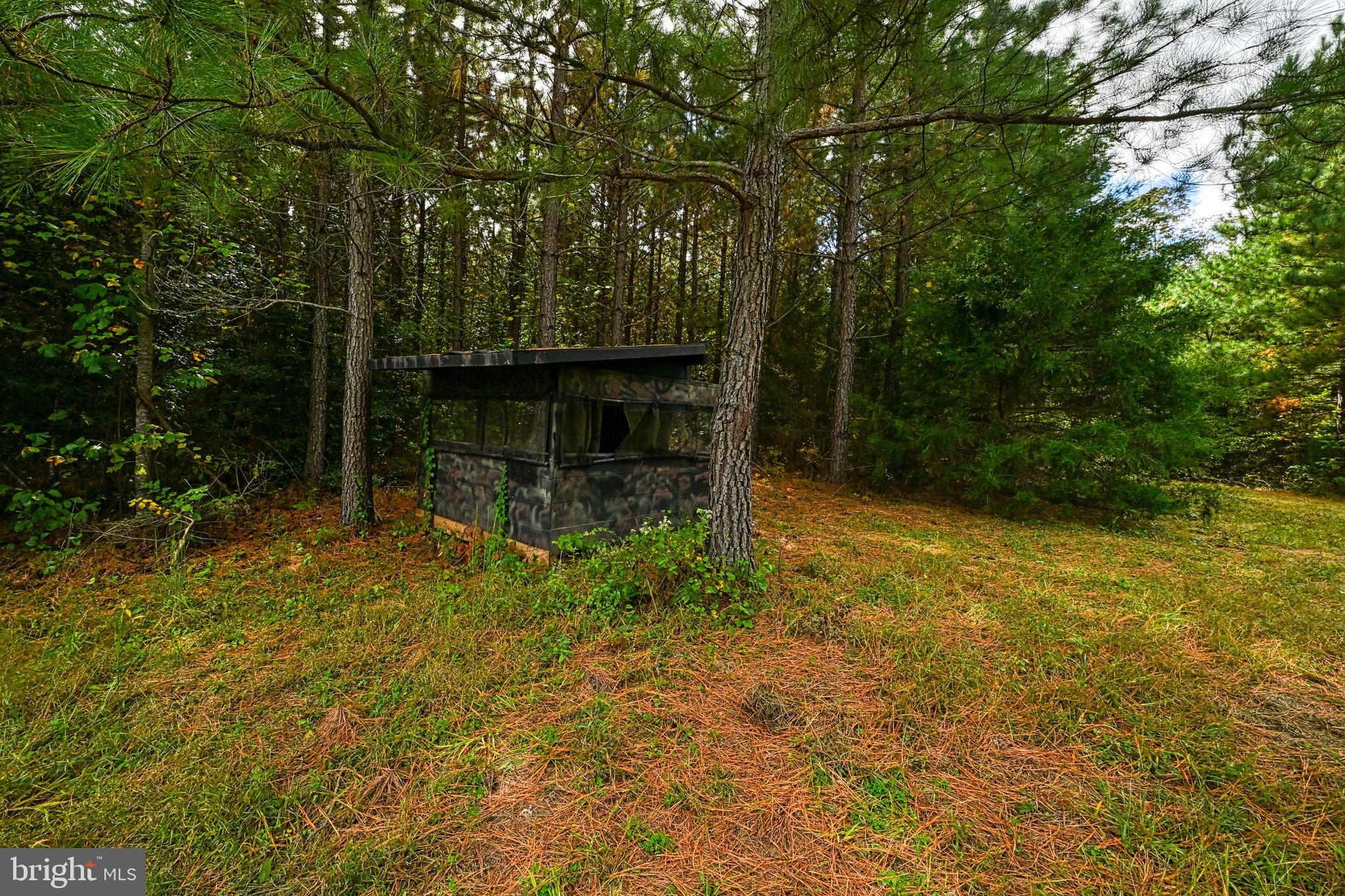 Cross Country Road Mineral, VA 23117 - Photo 13 of 58 a view of house with backyard and garden