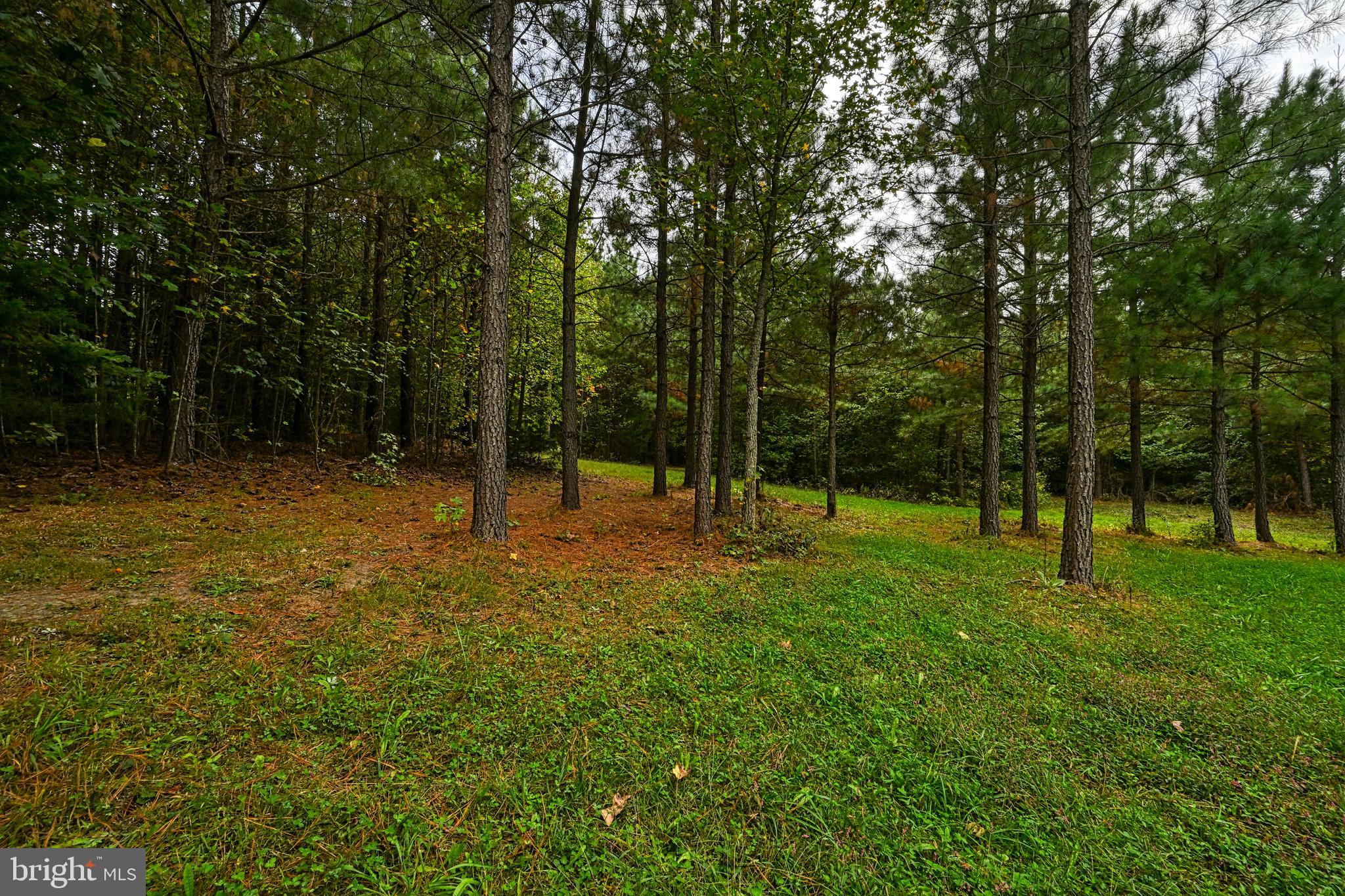 Cross Country Road Mineral, VA 23117 - Photo 14 of 58 a view of outdoor space with deck and yard